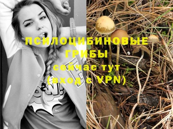круглые Беломорск