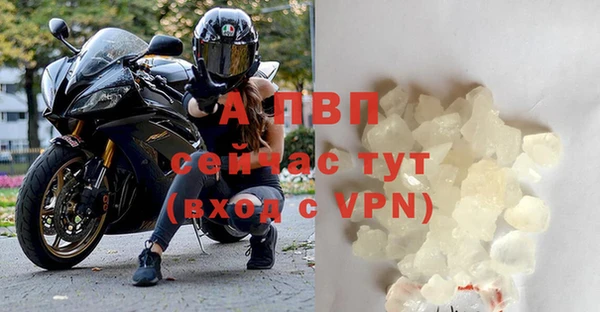 PSILOCYBIN Белоозёрский