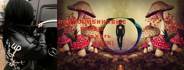 a pvp Балахна