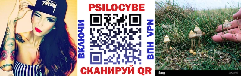 Галлюциногенные грибы GOLDEN TEACHER  купить наркотики сайты  Вельск 